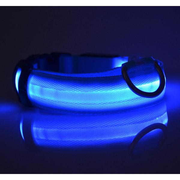 Buy Free Shipping led dog collar light  factory wholesale at wholesale prices