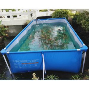 Wholesale Pvc Fish Tank