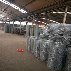 Electro Gavanized Before Weaving Hexagonal Wire Netting
