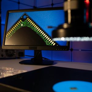 Certified Light Lamp LED Lab Test comprehensive Global Testing Services