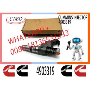 China QSM11 M11 Engine Common Rail Fuel Injector 4903472 4903319 4902921 3087557 4307516 3411845 3411754 4062851 For Cum-mins on sale