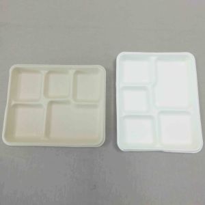 100% Biodegradable Sugarcane Pulp 5 Compartment Tray Natural Bagasse Eco