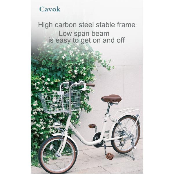 Customized OEM 6 Speed 20 Inch City Bike With Caliper Brake