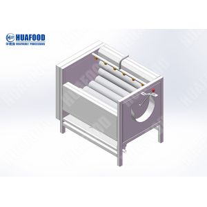 Cabbage Cleaning Fruit And Vegetable Processing Line