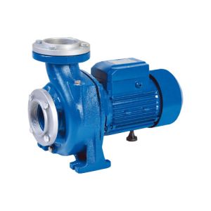 Quality NFM Series Micro Agricultural Water Pump For Clean Water 0.8HP / 0.6KW Three Phase for sale
