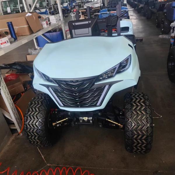 New Designed 2 Seat Electric Golf Cart 4KW Four Wheeler Durable Electric Golf Buggy