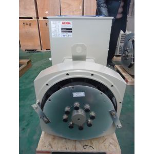 200KW Brushless Three-phase AC Generator AVR H Class Insulation 50Hz 1500RPM