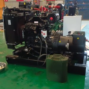24V DC Electric Start 50kW Electric Generator for Eco-Friendly Solutions