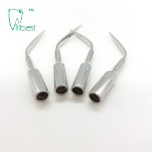 Stainless Steel Woodpecker Ultrasonic Scaler Tips GD1 GD2 GD3 GD4