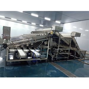 Stable Small Fish Grading Machine Multifunctional 6000x5200x2200mm