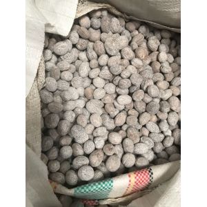 Nutmeg Myristica Fragrans With Or Without Shell From Indonesia