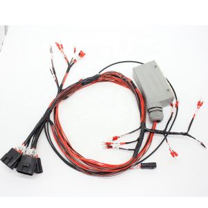 Electric Cable Assembly customzied Auto Wire Harness Assembly Loom