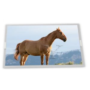 Quality 2.6-Inch WLED TFT LCD Display Module T-57236GD026HU-T-ACN 800*480 Resolution with ili9341 Driver IC LED Backlight ODM Suppliers for sale