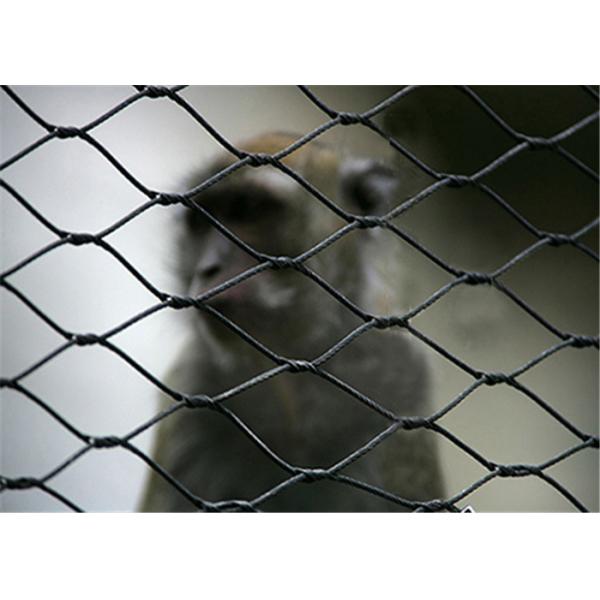 Buy Recyclable Stainless Steel Woven Wire Mesh 30x30mm For Bird Cages 7x19 at wholesale prices