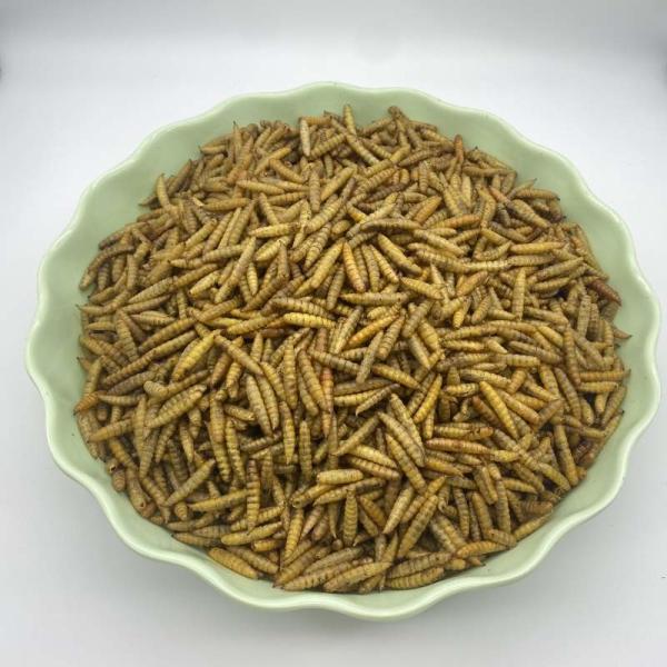 Carton Packaging Dried Black Soldier Fly Origin Ingredients Black Soldier Fly Larvae