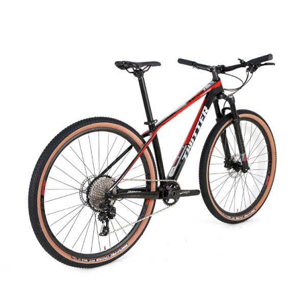 Carbon MTB Bicycle With SRAM NX 11S Inner Cables Routing Mountain Bike For Sale