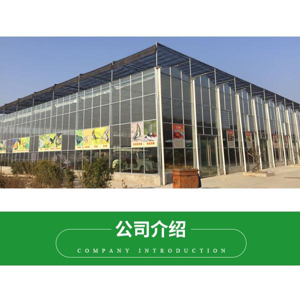 Good Light Permeability Essential for Venlo Glass Greenhouse in Agricultural Industry