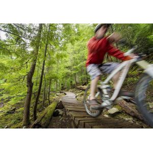 Engineering | Custom Fabrication | Manufacturing Plastic Polymer Plain Bearings