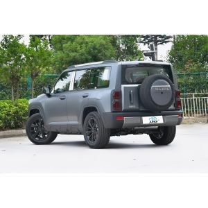 2024 Haval Raptor Hi4 L4 SUV New Energy Vehicle With Long Battery Life 1.5T 167