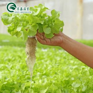 PO Tower Garden for Vegetable Fruits Flowers Budget-Friendly Agricultural