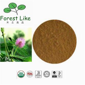 Finely Shredded Mimosa Extract Mimoside Sensitiveplant Herb Extract