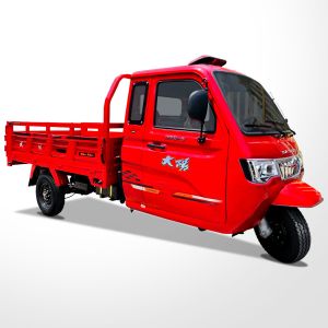 High Payload Capacity DAYANG Adult Enclosed Motorized Tuk Tuk Tricycle for