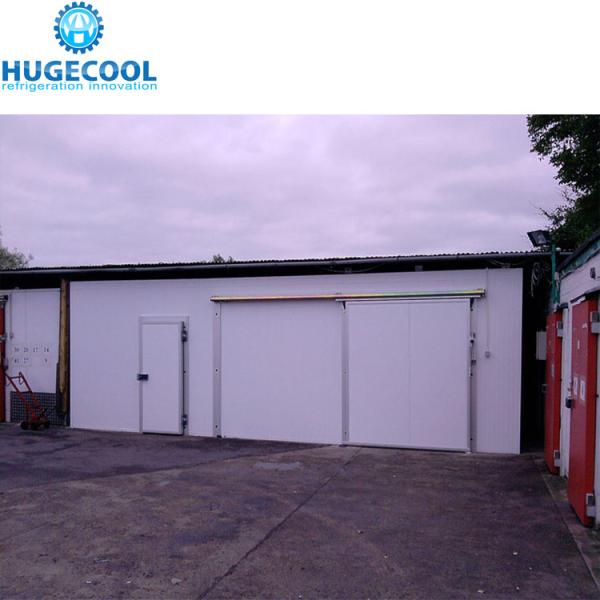 Full Automatic Control Freezer Cold Room Easy Maintenance With Copeland