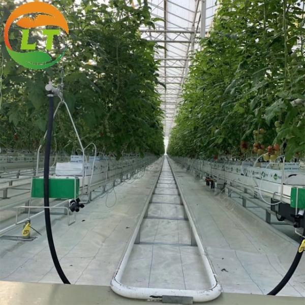 Buy Top and Side Ventilation System Large Glass Garden Greenhouse at wholesale prices