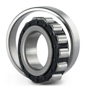 NU Single Row Cylindrical Roller Bearing , 2300 Bearing Roller Cylindrical