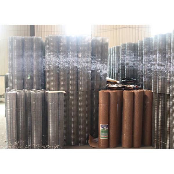 Low Carbon Steel Wire Galvanized Welded Mesh Wire Animal Fence Or Netting Rolls