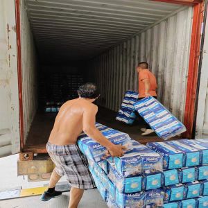 China Free Sample Wholesale Cheap Super Thick Elderly cotton pant Nappies Incontinence Adult Disposable Diaper Pants Pull Up on sale