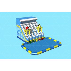 Outdoor Custom Fire Ice Color Inflatable Water Slide With Swimming Pool