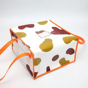 Quality Custom size, weight, design available,Custom Printed 6 Pack Nonwoven Cooler Bag,promotional Non-Woven Lunch Cooler Bag for sale