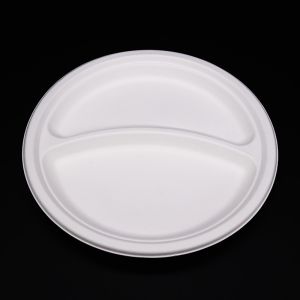Best Quality Promotional Plates Biodegradable Takeaway Plates Disposable