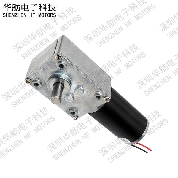 12V 24V 14RPM 2000mA 40mm DC Worm Gear Motor GM4058-3162ZY