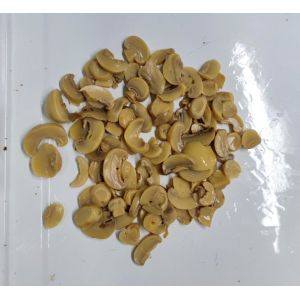 Canned Food Champignon Mushroom Ready To Eat Fresh & Delicious