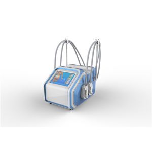 Touch Screen Home Cryolipolysis Machine 110V 60Hz Or 220v 50Hz High Efficiency