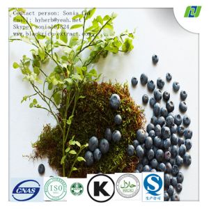 China Bilberry Extract for eye health on sale