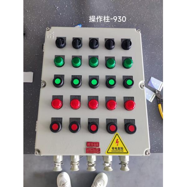 Customizable Rated Voltage Flameproof Control Panels with 12mm Panel Thickness