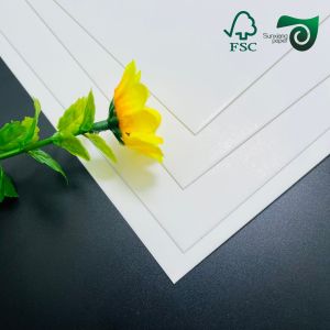 FSC Food Grade FBB Paper Board 215gsm 295gsm For Medicine Boxes 70cm 100cm