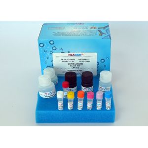 Quality High Sensitivity Dibutyl Phthalate (DBP) ELISA Test Kit / Quick ELISA Assay Kit for sale