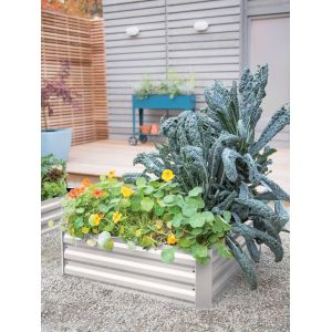 Pest Prevention 8x4ft Raised Metal Garden Bed