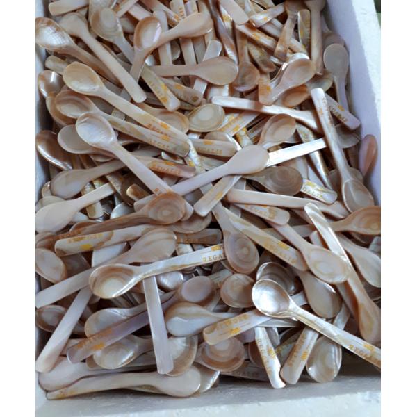 Special Color Brown Natural Mother Of Pearl Caviar Spoon 4.7 Inch And 5.1'' Available