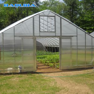 Galvanized Steel Frame Single Span PE Film Greenhouse For Flower Planting