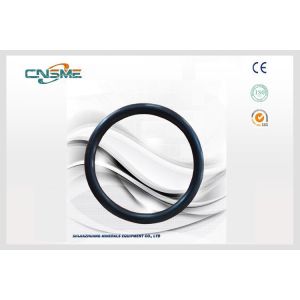 High Pressure Slurry Pump Parts Black Sealing Ring D122 For Acidic Slurry