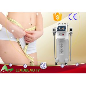Vertical Far Freeze Cryolipolysis Slimming Machine / Best Effective Cavitacion