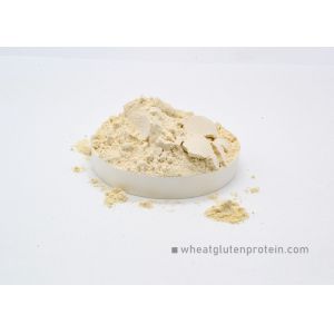 Instant Noodles Spaghetti KOSHER Vital Wheat Gluten