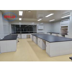 Gray White Laboratory Casework With Black Phenolic Resin Countertop In College