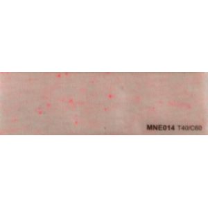 Quality Neps Yarn of Top Dyed Melange Yarn for sale