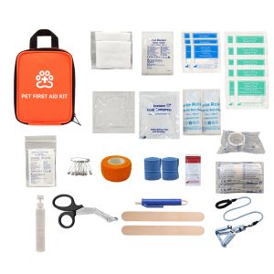 First Aid Kit for Golden Shaded Toy Poodle for Chinchilla's Canine Companion